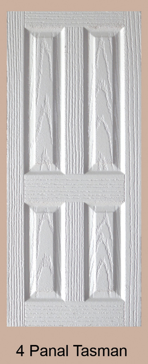 4 Panal Tasman